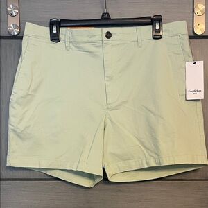 Goodfellow & Co Men's Light Green Flat Front Shorts Size 32 Waste 5” Inseam